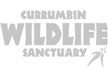 currumbin-wildlife-logo